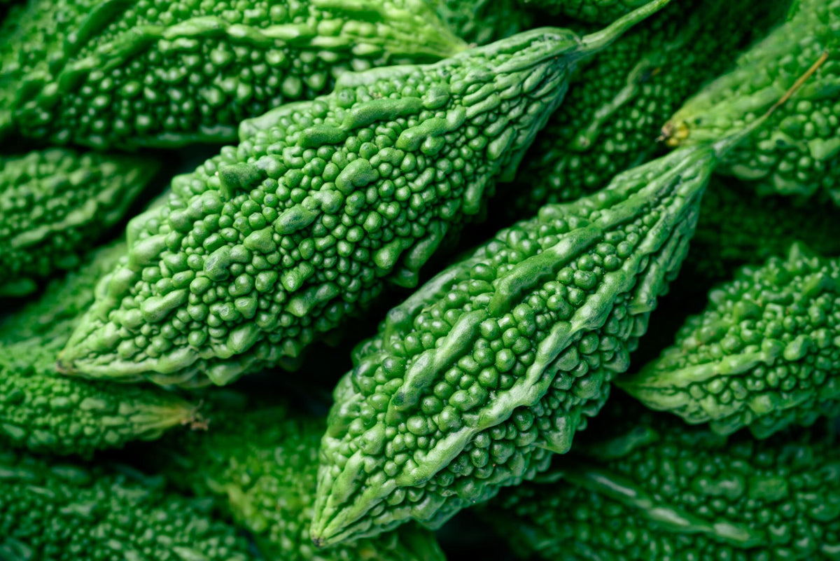Bitter Melon (Karela)